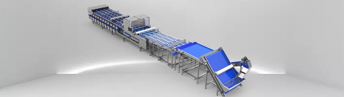 CLASIFICADOR DE COLOR DE FECHA