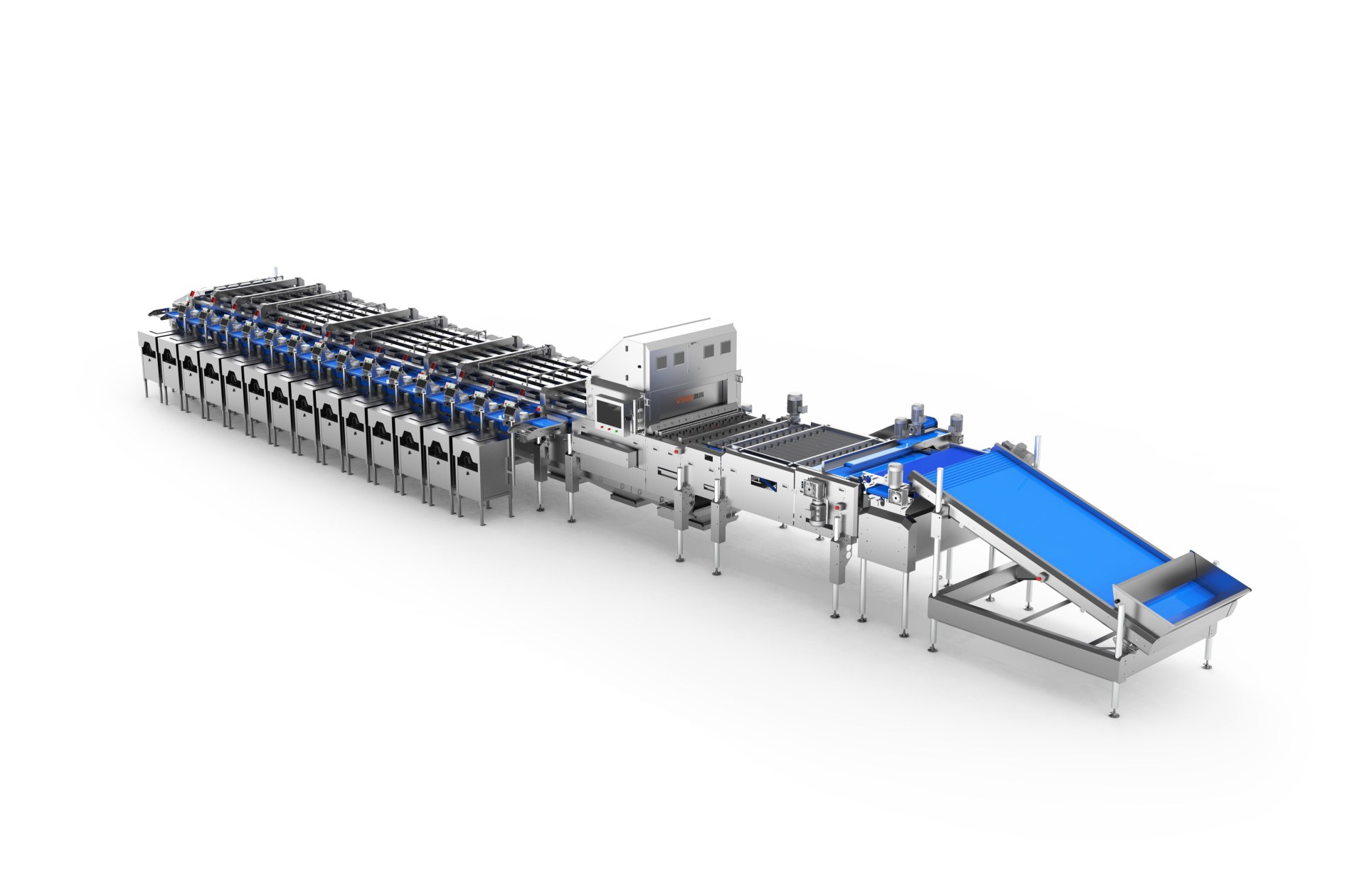 VSEE Frozen Blueberry Optical Sorting Solution