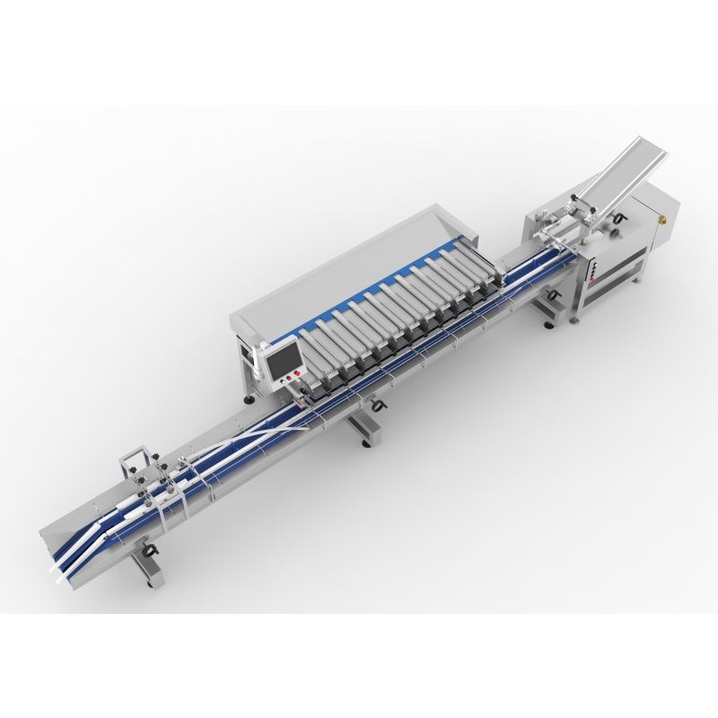 Blueberry packing equipment