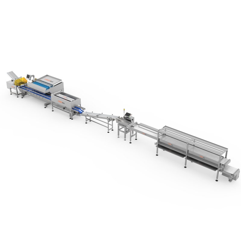 Blueberry packing equipment
